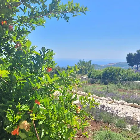 Bosna: Private Luxury Retreat Near Dubrovnik * Ivanica